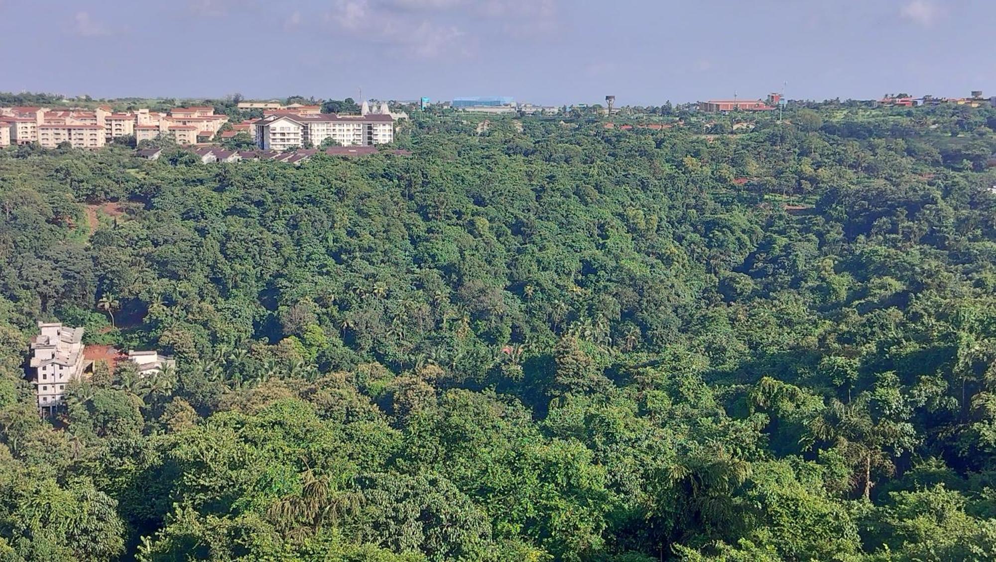 Tata Rio De Goa ,Goodstay 2 Bhk Apartment With Pool ,6Km From Airport ,201 Васко-да-Гама Экстерьер фото
